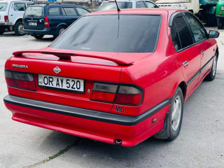 Nissan Primera foto 4