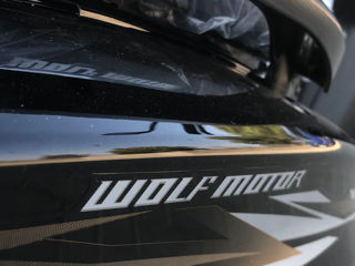 Wolf Motors 150/2024 foto 9