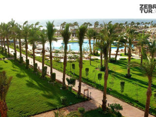 Egipt, Sharm El Sheikh - Sharm Grand Plaza 5* foto 2