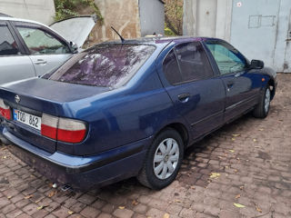 Nissan Primera foto 4