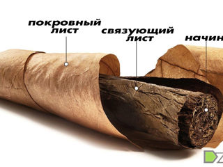 Seminte tutun cемена табака разные сорта!!! foto 6