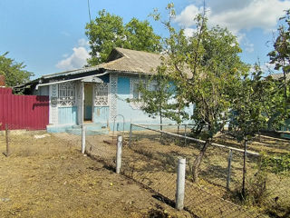 Casa in s.Bujor. foto 5