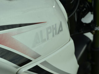 Alpha Moto 110cc/2024!!! foto 13