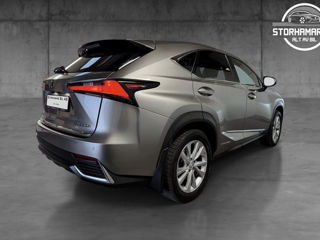 Lexus NX Series foto 5