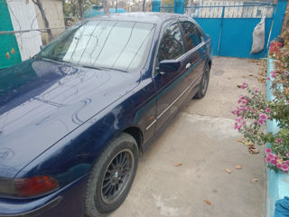 BMW 5 Series foto 6