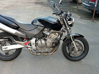 Honda CB 600 Hornet foto 4