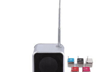 Домашняя-Колонка-Radio-Bluetooth-встроенный аккумулятор-беспроводная-Поддержка USB-Флэш-TF-карт-AUX foto 10