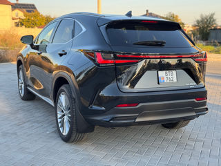 Lexus NX Series foto 3