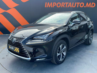 Lexus NX Series