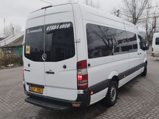 Mercedes Sprinter Delfin Max