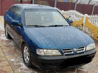 Nissan Primera foto 5