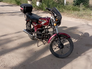 Alpha Moto Zs110 foto 1