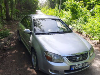 KIA Cerato foto 1