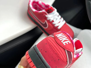 Nike SB Dunk Lobster Red Women's foto 8