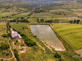 Se vinde afacere activă în s. Dolna, Strășeni, Chișinău foto 11