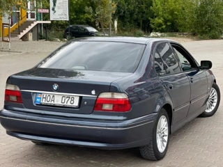 BMW 5 Series foto 5