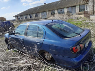 Nissan Primera foto 8