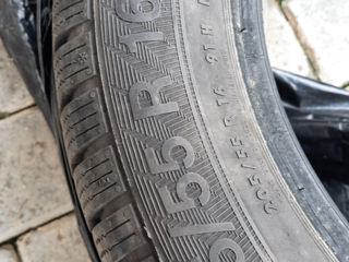 Продаю зимнюю шину Gislaved 205/55 R16 - 1 штука фото 4