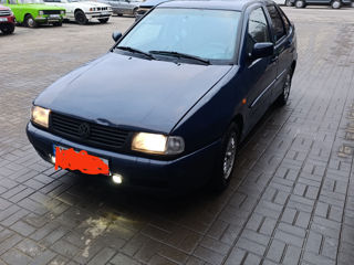 Volkswagen Polo foto 8