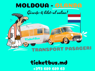 Transport Moldova - Olanda [ Tur-retur ] foto 3