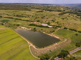 Se vinde afacere activă în s. Dolna, Strășeni, Chișinău foto 13