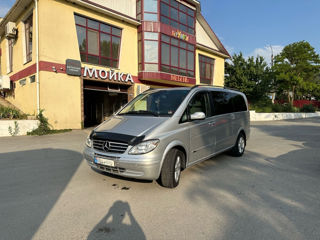 Mercedes Viano, 2007 г.