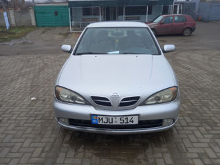 Nissan Primera foto 7