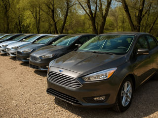 Ford Focus фото 6