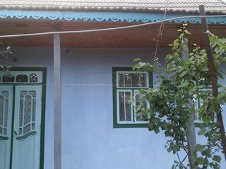 Продам дом в селе Заим (Каушаны) foto 1