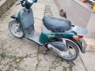 Piaggio foto 4