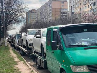 Transport la comanda si la devamare din lituania foto 1