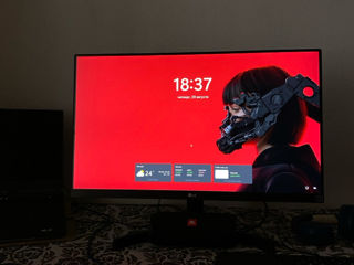 Монитор LG 24MK600M-B 24" Full HD