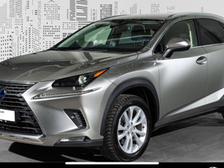 Lexus NX Series