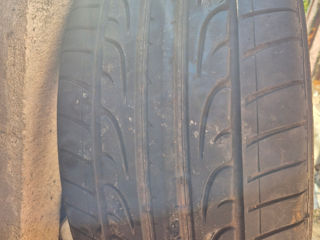 R20 295/40 Dunlop foto 5