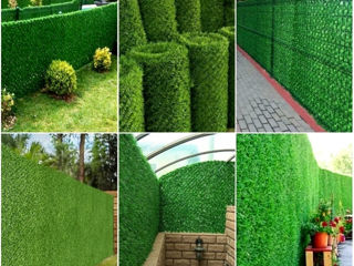 Стеновые панели из искусственных растений.Panouri de perete verzi artificiale. foto 7
