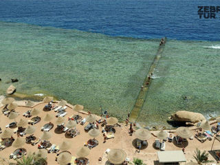 Egipt, Sharm El Sheikh - Dreams Beach Resort 5* foto 5