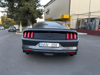 Ford Mustang foto 6