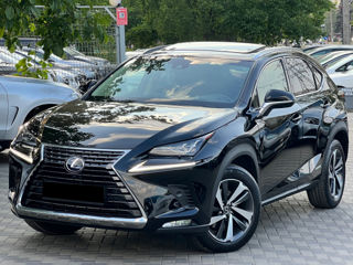 Lexus NX Series