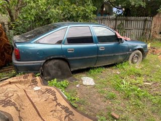 Opel Vectra foto 6