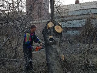 Curatarea terenuri teritorii Уборка территорий foto 1