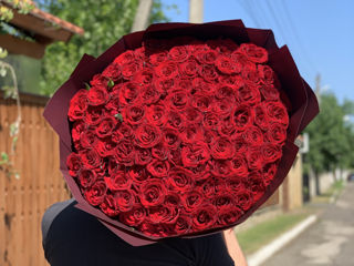 101 trandafiri / 101 роза. foto 1