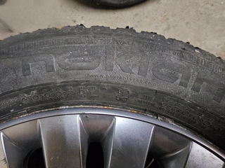 Nokian WR D4 205/55 R16 foto 5