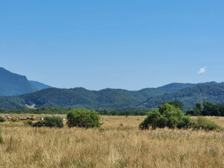 Teren unic de 11,600 mp/Extravilan/Rasnov foto 2