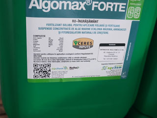 Ingrasamint Foliar Bio foto 1