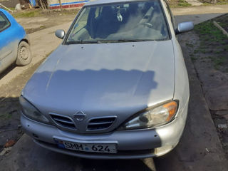 Nissan Primera foto 2