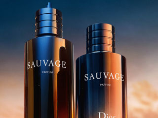 Savuage Dior