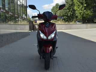 Wolf Motors 150CC/2023 foto 17