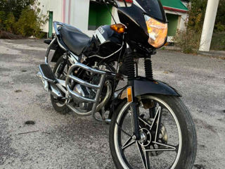 Viper victad viper150cc foto 5