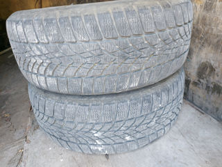 235/55 r19 Dunlop 500 лей за пару