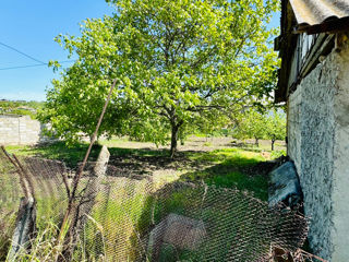 Se vinde casă cu teren agricol de 15 ari  sau posibil la schimb apartament mun chisinau - Ghidighici foto 4